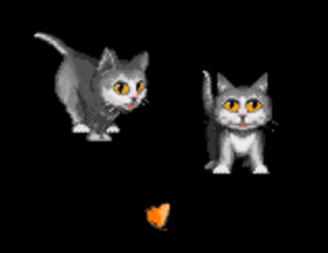 A pair of gray-colored tabby cats and a red butterfly. One cat looks forward while the other is chasing the butterfly.