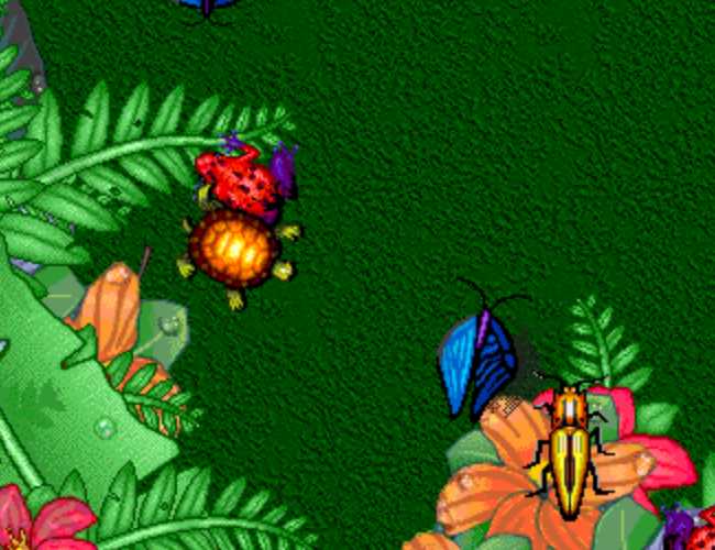 An asortment of colorful bugs and animals, which include a turtle and a red frog with purple legs, on a green background with some rainforest plants around the edges.